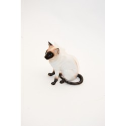 Poezenbeeldje Siamese kat