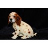 Hond - Beeld van een beagle puppy uit Japan