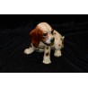 Hond - Beeld van een beagle puppy uit Japan