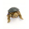 Figurine TMNT Mutatin Don