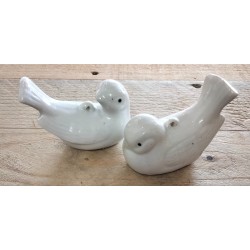 Set van 2 vogeltjes