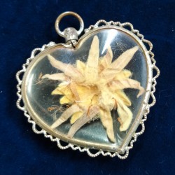 Hangertje met edelweiss